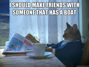 The One Percent Cat