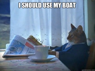 The One Percent Cat