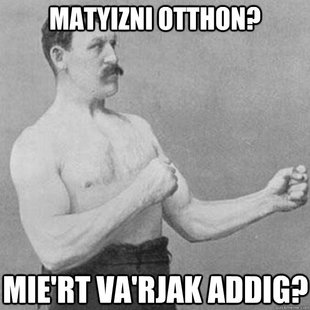 overly manly man