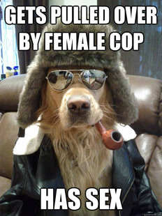 Overly Suave Dog