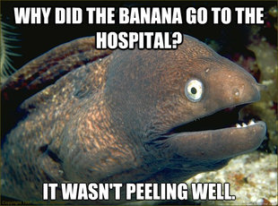 Bad Joke Eel