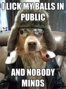 Overly Suave Dog