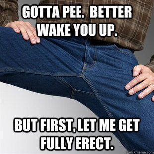 Scumbag Penis