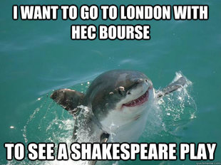 Misunderstood Shark