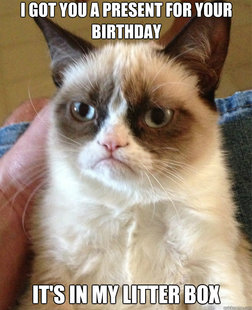 Grumpy Cat