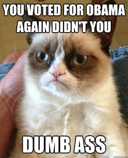 Grumpy cat