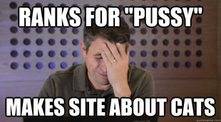 Facepalm Matt Cutts
