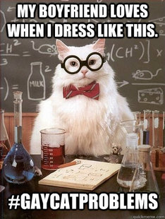 Chemistry Cat