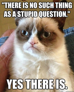 Grumpy Cat