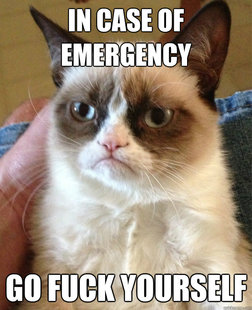 Grumpy Cat