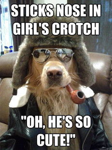 Overly Suave Dog