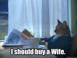 Fancy Cat