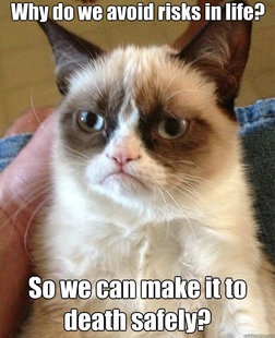 Grumpy Cat