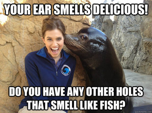 Crazy Secret