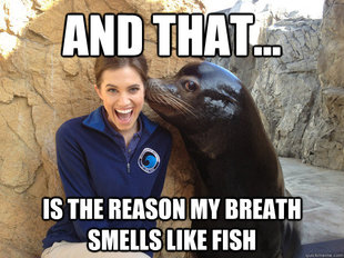 Crazy Secret