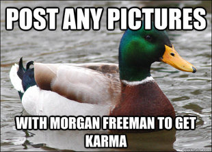 Actual Advice Mallard