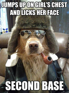 Overly Suave Dog