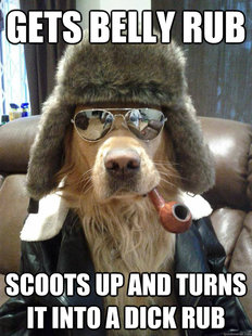 Overly Suave Dog
