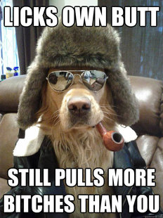 Overly Suave Dog