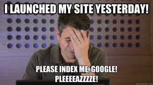 Facepalm Matt Cutts