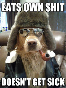 Overly Suave Dog