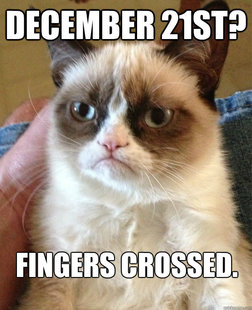 Grumpy Cat