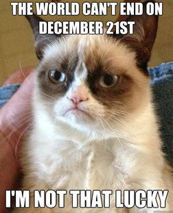 Grumpy Cat