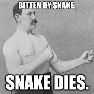 overly manly man
