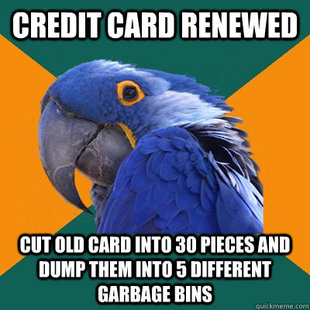 Paranoid Parrot