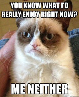 Grumpy Cat