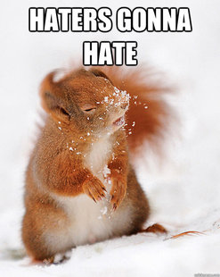 cover squirrel