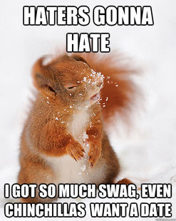 cover squirrel
