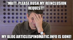 Facepalm Matt Cutts