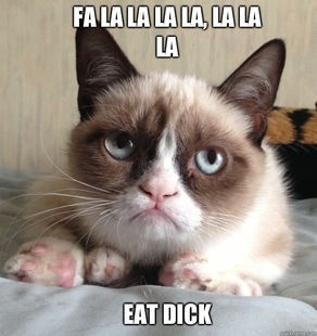 Grumpy Cat