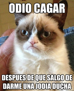 Grumpy Cat