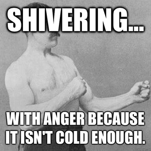 overly manly man