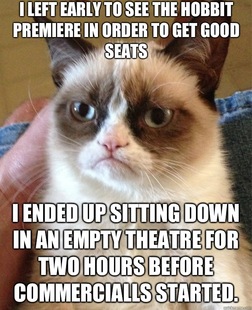 Grumpy Cat