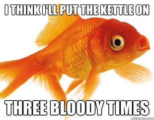 Forgetful Fish