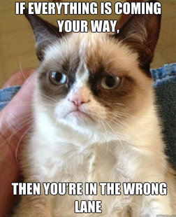 Grumpy Cat