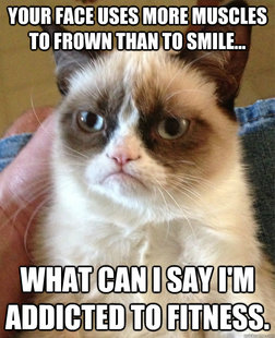 Grumpy Cat