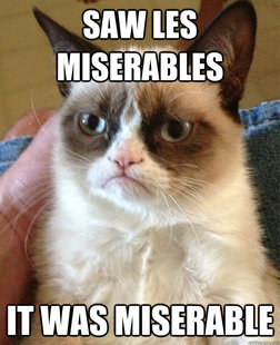 Grumpy cat