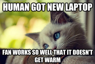 First World Cat Problems