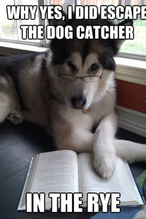 Condescending Literary Pun Dog