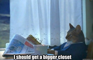 Sophisticated Cat is broke
