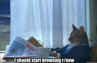 Sophisticated Cat is broke