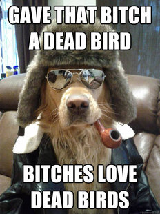 Overly Suave Dog