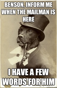 Old Money Dog