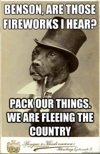 Old Money Dog