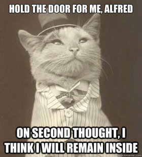 Aristocat