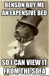 Old Money Dog